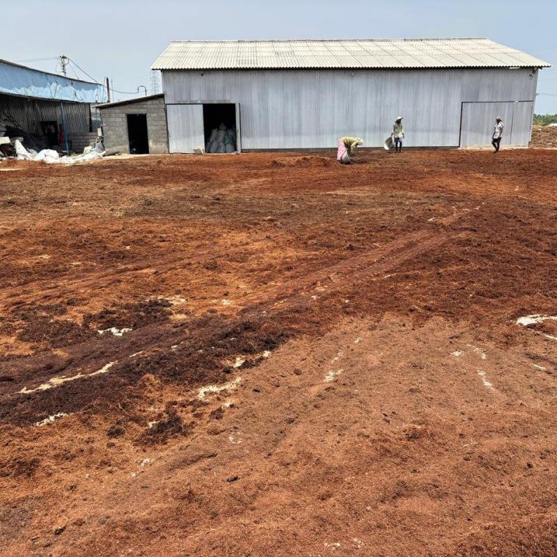 From Coconut Husk to Export-Ready 5kg Coco Peat Blocks: The Complete Manufacturing Process