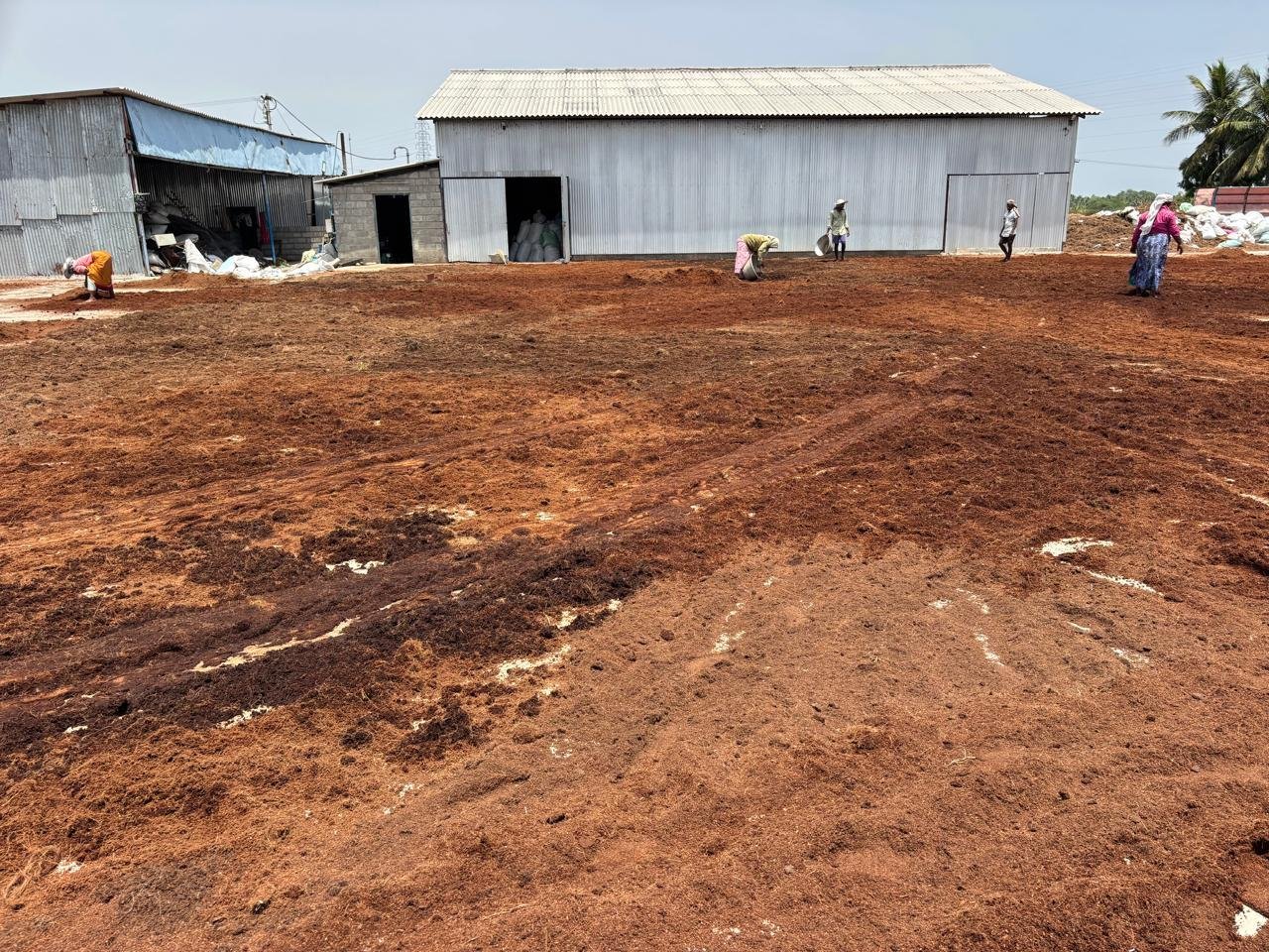 From Coconut Husk to Export-Ready 5kg Coco Peat Blocks: The Complete Manufacturing Process